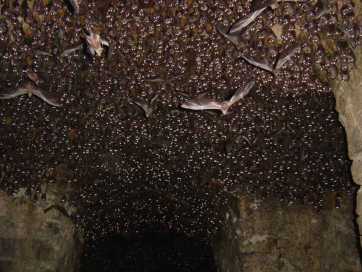 KinhNghiemDuLich.org Độc đáo 15 bức ảnh trong cuộc thi ảnh của National Geographic
