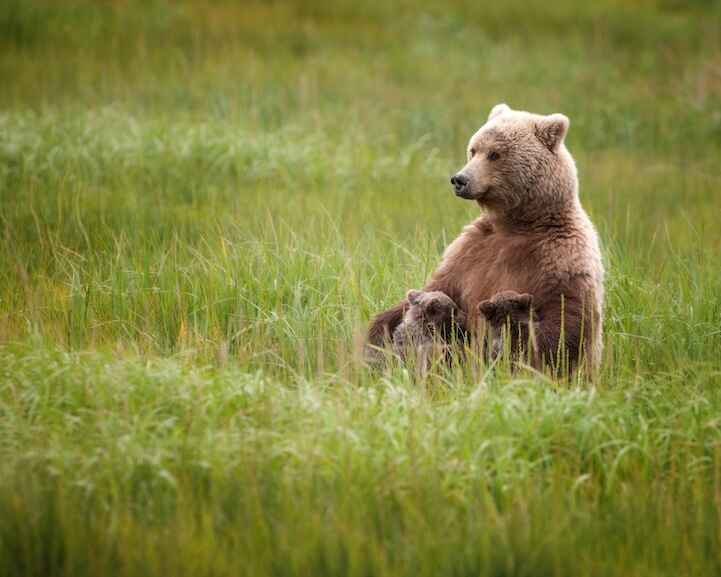 KinhNghiemDuLich.org Độc đáo 15 bức ảnh trong cuộc thi ảnh của National Geographic
