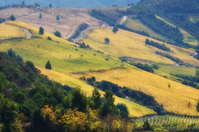 KinhNghiemDuLich.org  Sac thu Colchagua