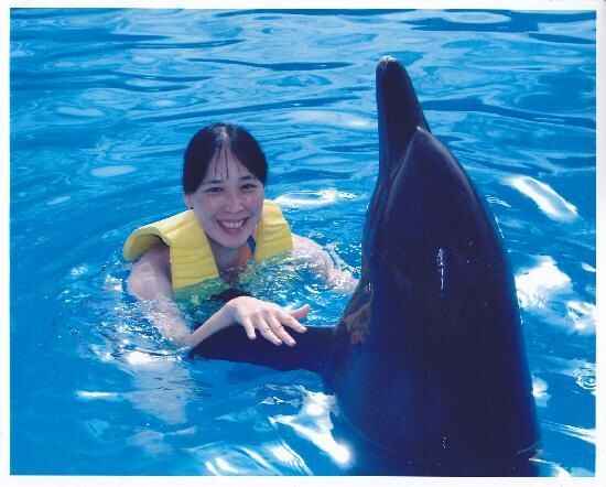 Chương trình Cancun Dolphin Encounte