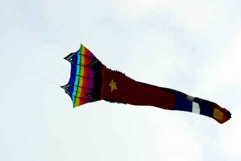 KinhNghiemDuLich.org   Canh dong dieu giua TPHCM