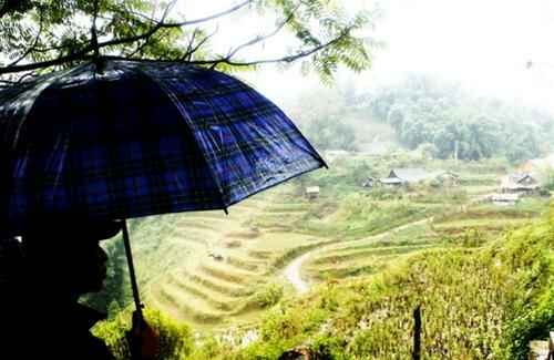 KinhNghiemDuLich.org  Cát Cát trong mưa