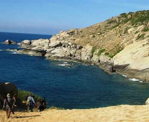 KinhNghiemDuLich.org  Cau ca o Phan Rang