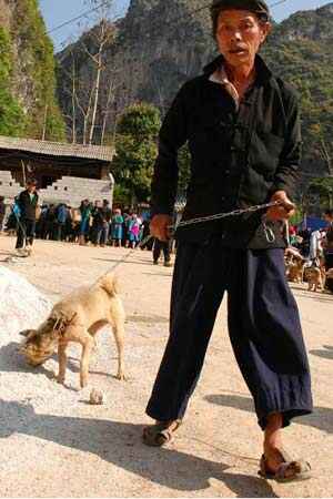 Sotaydulich Sotay Dulich Khampha Kham Pha Bui Cho gia suc o cuc bac To Quoc