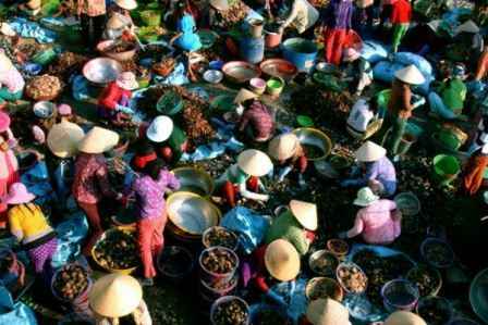 Chợ sò Hà Thủy