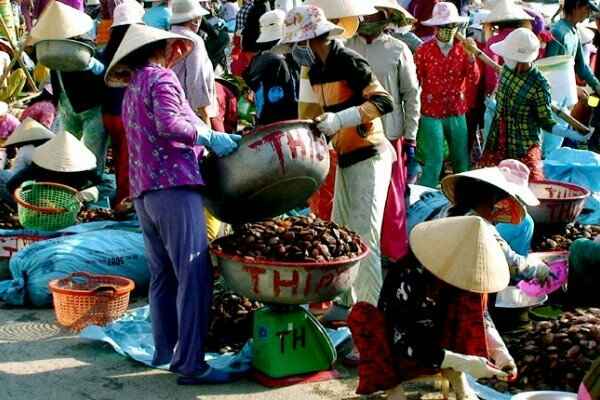 Chợ sò Hà Thủy