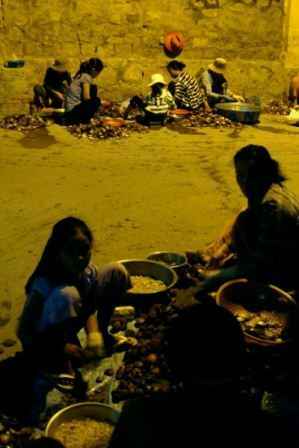 Chợ sò Hà Thủy