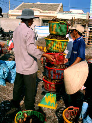 KinhNghiemDuLich.org  Cho so Ha Thuy