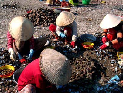 KinhNghiemDuLich.org  Cho so Ha Thuy