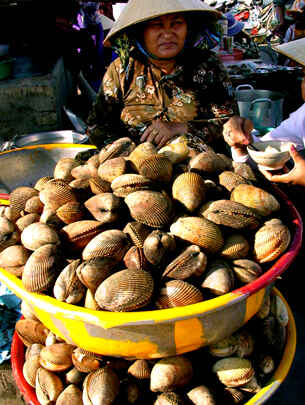 KinhNghiemDuLich.org  Cho so Ha Thuy