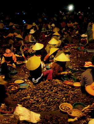 KinhNghiemDuLich.org  Cho so Ha Thuy