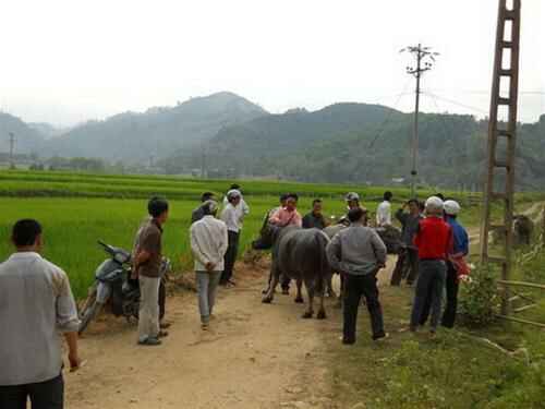 KinhNghiemDuLich.org  Choi cho phien vung ATK