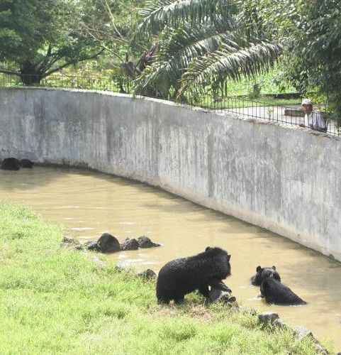  KinhNghiemDuLich.org  Cuoi da dieu cam nhan mien que o Vuon Xoai