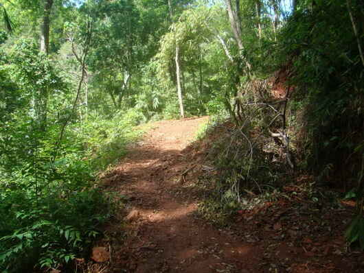 KinhNghiemDuLich.org  Dam minh trong tieng hat thac Chaper