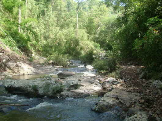 KinhNghiemDuLich.org  Dam minh trong tieng hat thac Chaper