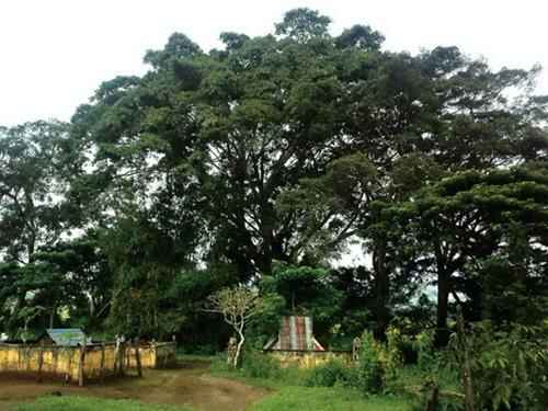 Đến thăm làng Donde