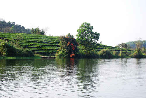  KinhNghiemDuLich.org   Doi che tho mong ben duong mon Ho Chi MInh