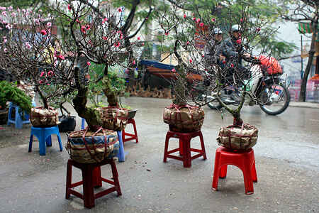 KinhNghiemDuLich.org Du xuan cho phoen giua Ha Noi