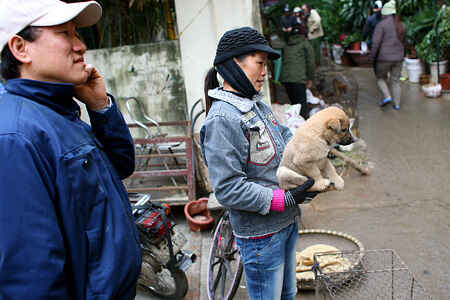 KinhNghiemDuLich.org  Du xuan cho phoen giua Ha Noi