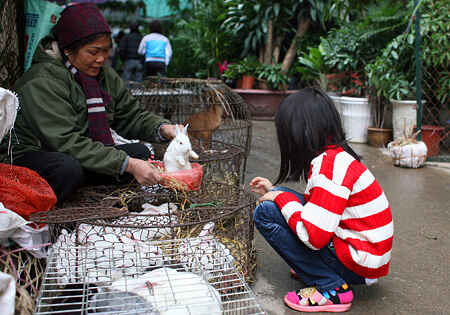 KinhNghiemDuLich.org Du xuan cho phoen giua Ha Noi