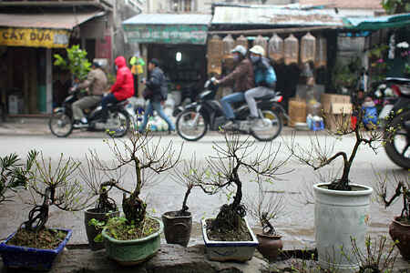 KinhNghiemDuLich.org Du xuan cho phoen giua Ha Noi