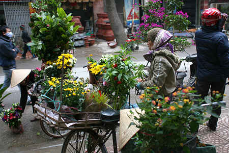 KinhNghiemDuLich.org Du xuan cho phoen giua Ha Noi