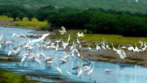 KinhNghiemDuLich.org  Hanh trinh den cac khu Ramsar  o Viet Nam 