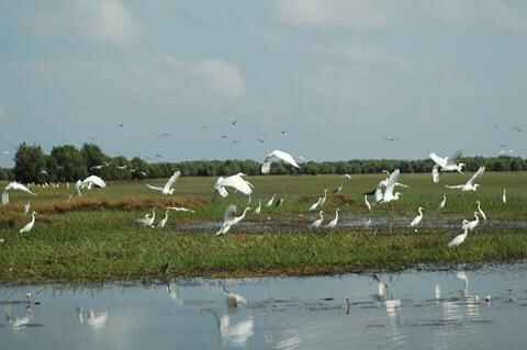 KinhNghiemDuLich.org  Hanh trinh den cac khu Ramsar  o Viet Nam 