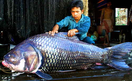 KinhNghiemDuLich.org  Hanh trinh den cac khu Ramsar  o Viet Nam 