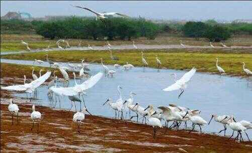 KinhNghiemDuLich.org  Hanh trinh den cac khu Ramsar  o Viet Nam 