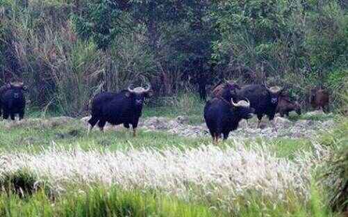 KinhNghiemDuLich.org  Hanh trinh den cac khu Ramsar  o Viet Nam 