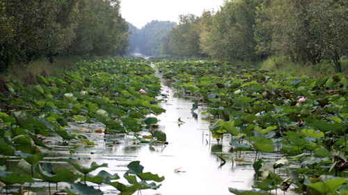 KinhNghiemDuLich.org  Hanh trinh den cac khu Ramsar  o Viet Nam 