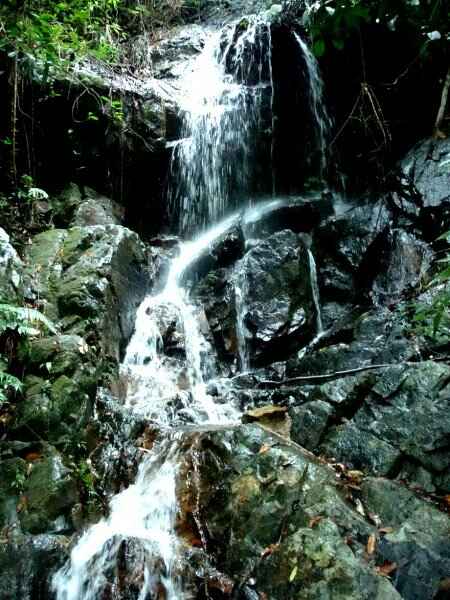 KinhNghiemDuLich.org Lên cao nguyên Lang Bian ngủ trên cây