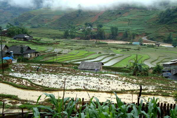 Lên chơi thung lũng Mường Hoa