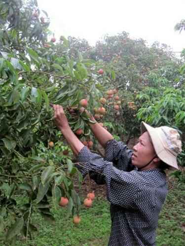 Sotaydulich Sotay Dulich Khampha Kham Pha Bui Luc ngan mua vai chin