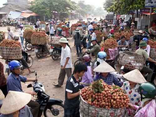 Sotaydulich Sotay Dulich Khampha Kham Pha Bui Luc ngan mua vai chin