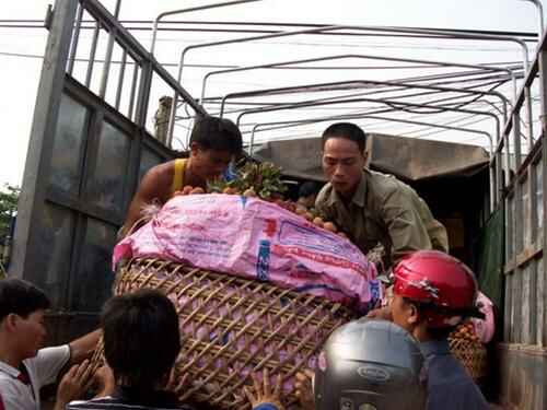 Sotaydulich Sotay Dulich Khampha Kham Pha Bui Luc ngan mua vai chin
