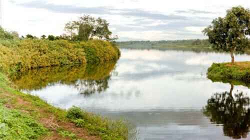 KinhNghiemDuLich.org Mắt biếc Pleiku