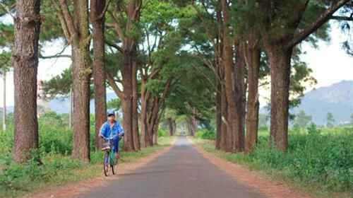 KinhNghiemDuLich.org Mắt biếc Pleiku