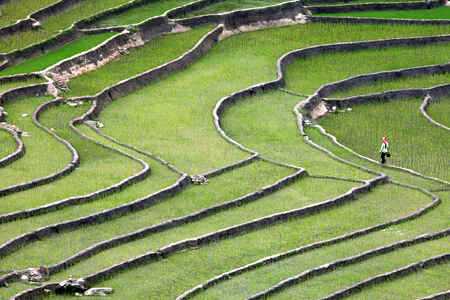  KinhNghiemDuLich.org  Me man ruong bac thang A Lu mua nuoc do