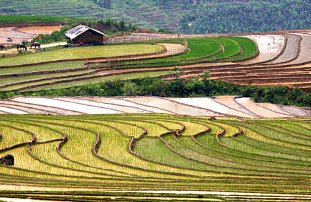  KinhNghiemDuLich.org  Me man ruong bac thang A Lu mua nuoc do