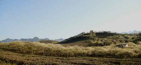 KinhNghiemDuLich.org  Ngat ngay canh dep Moc Chau