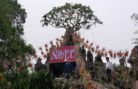 KinhNghiemDuLich.org  Nha tho da Phat Diem truoc ngay Giang sinh