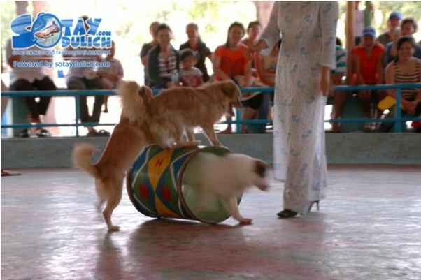 KinhNghiemDuLich.org  Nha Trang ngay he