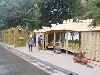 Phố Hoa Hà Nội rập rịch khoe sắc