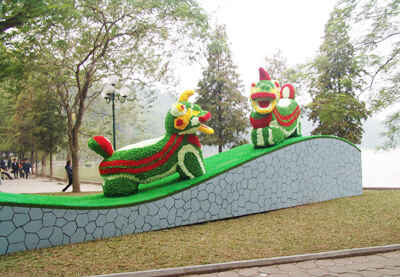 Phố Hoa Hà Nội rập rịch khoe sắc