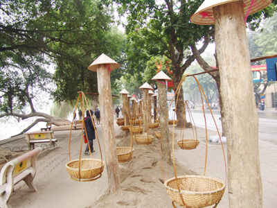 Phố Hoa Hà Nội rập rịch khoe sắc