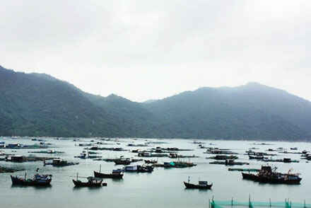 Sotaydulich Sotay Dulich Khampha Kham Pha Bui Quang canh tuyet dep tu deo Ca