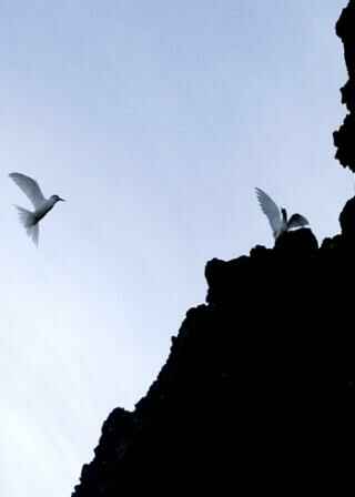  KinhNghiemDuLich.org  Que huong hai doi  Hoang Sa ruc ro duoi nang chieu