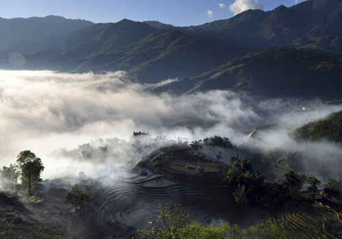 Rừng mây ở Sapa